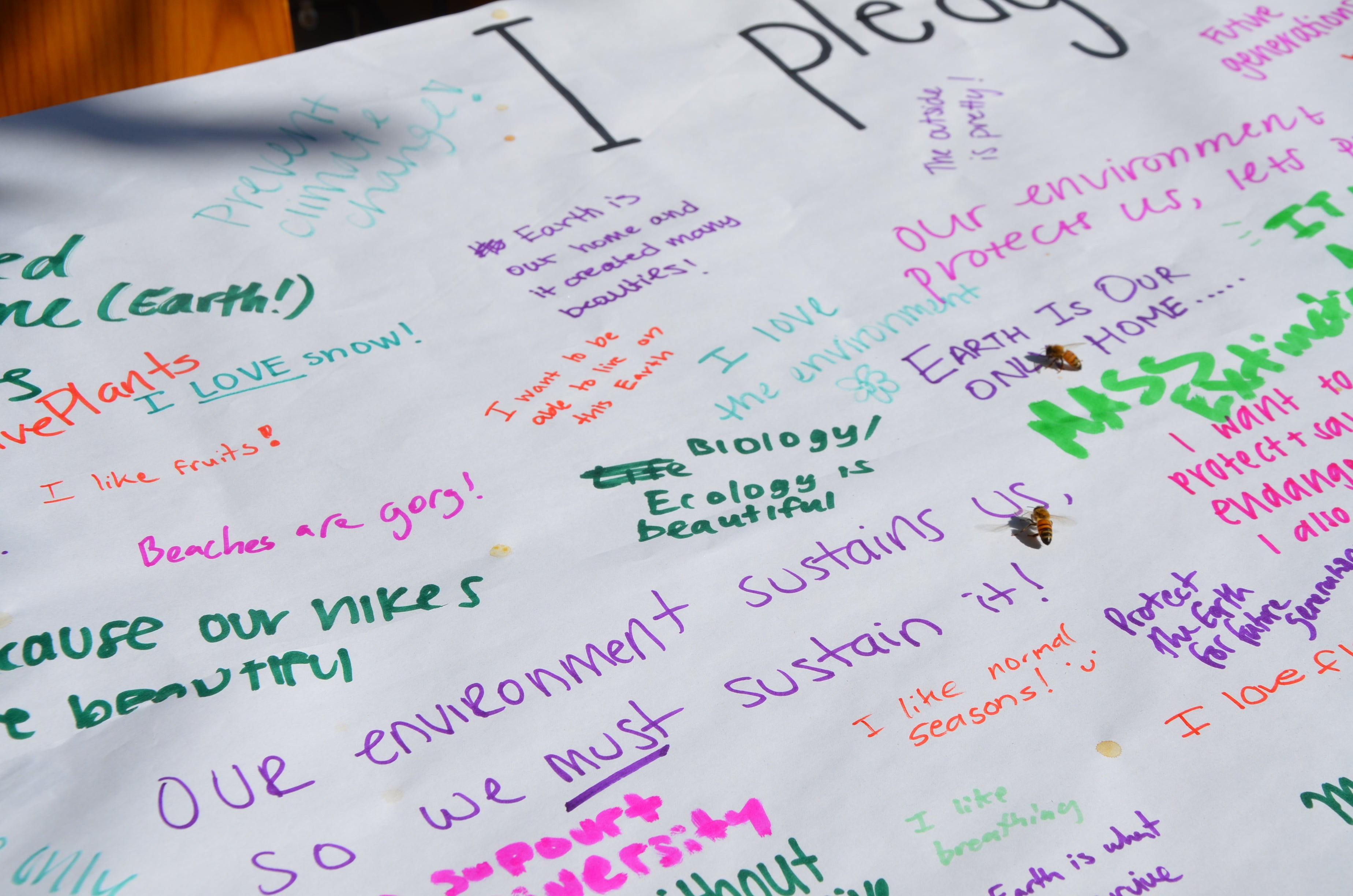 White paper with colorful writing