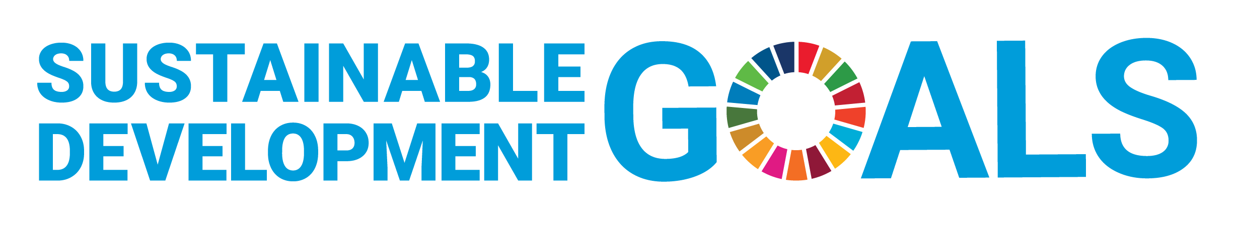 Sustainable Development Goals logo without UN emblem