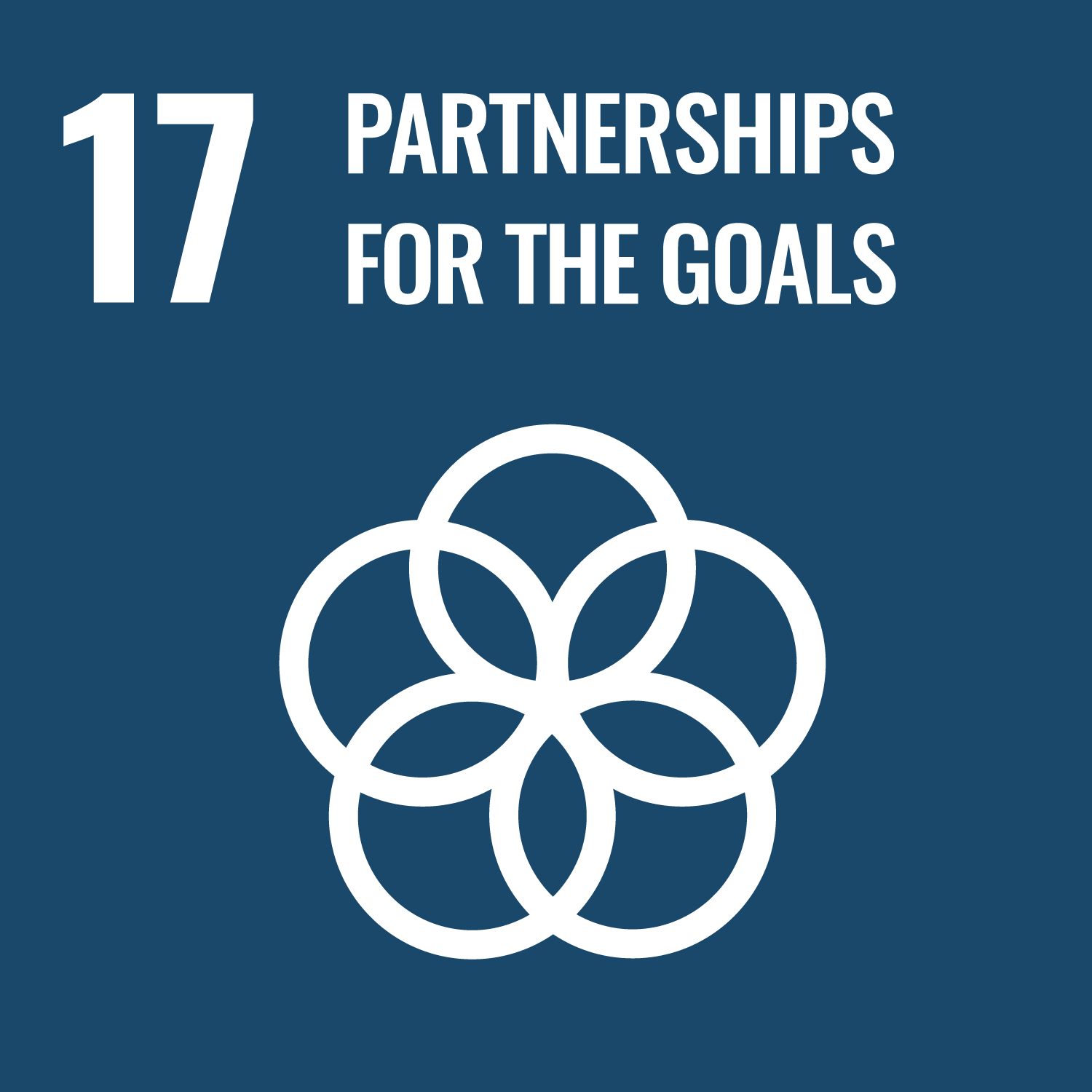 UN Sustainable Development Goal 17: Partnering for the Goals