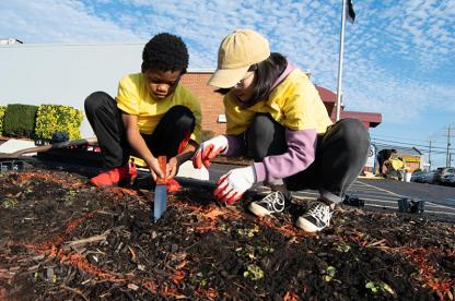 Students digging in dirt