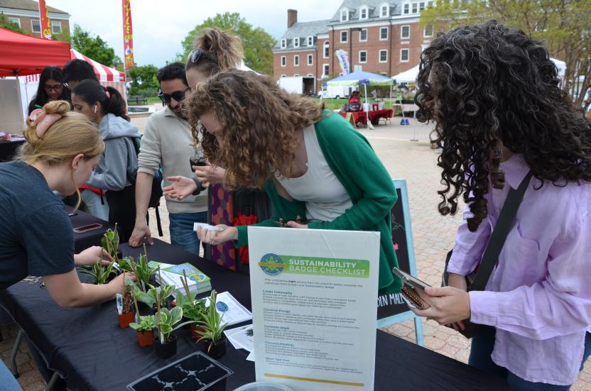 Staff picking out office plants