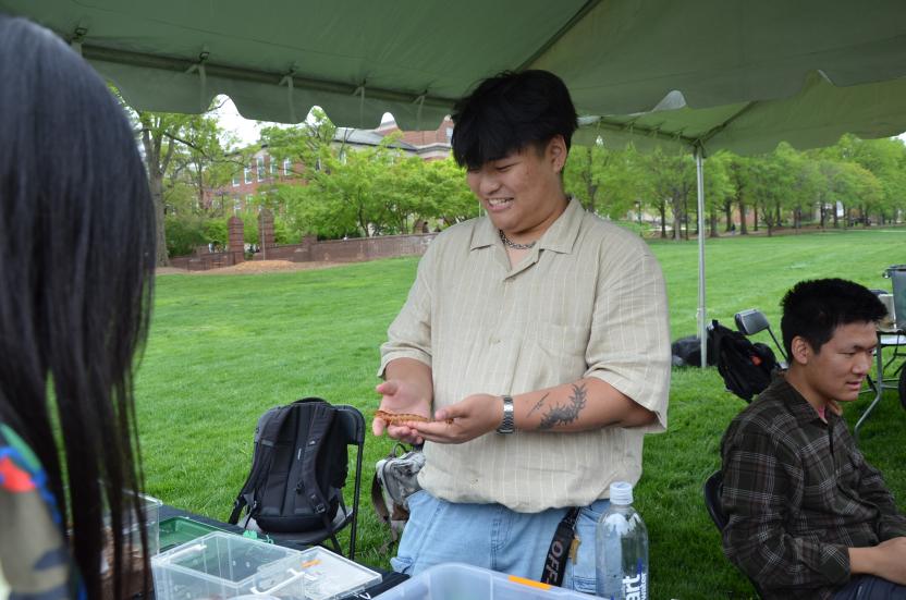Bug demonstration 