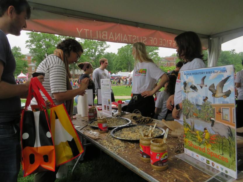 Maryland Day