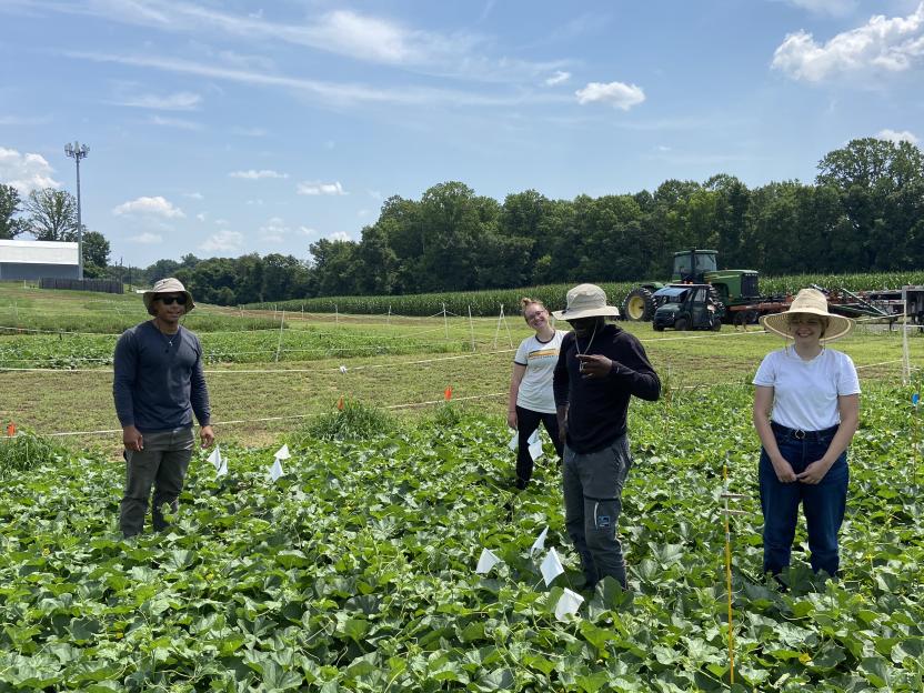 Undergraduate farm crew stands in a field of clover
