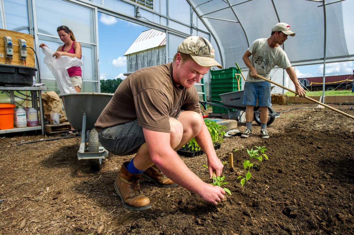 Terp Farm