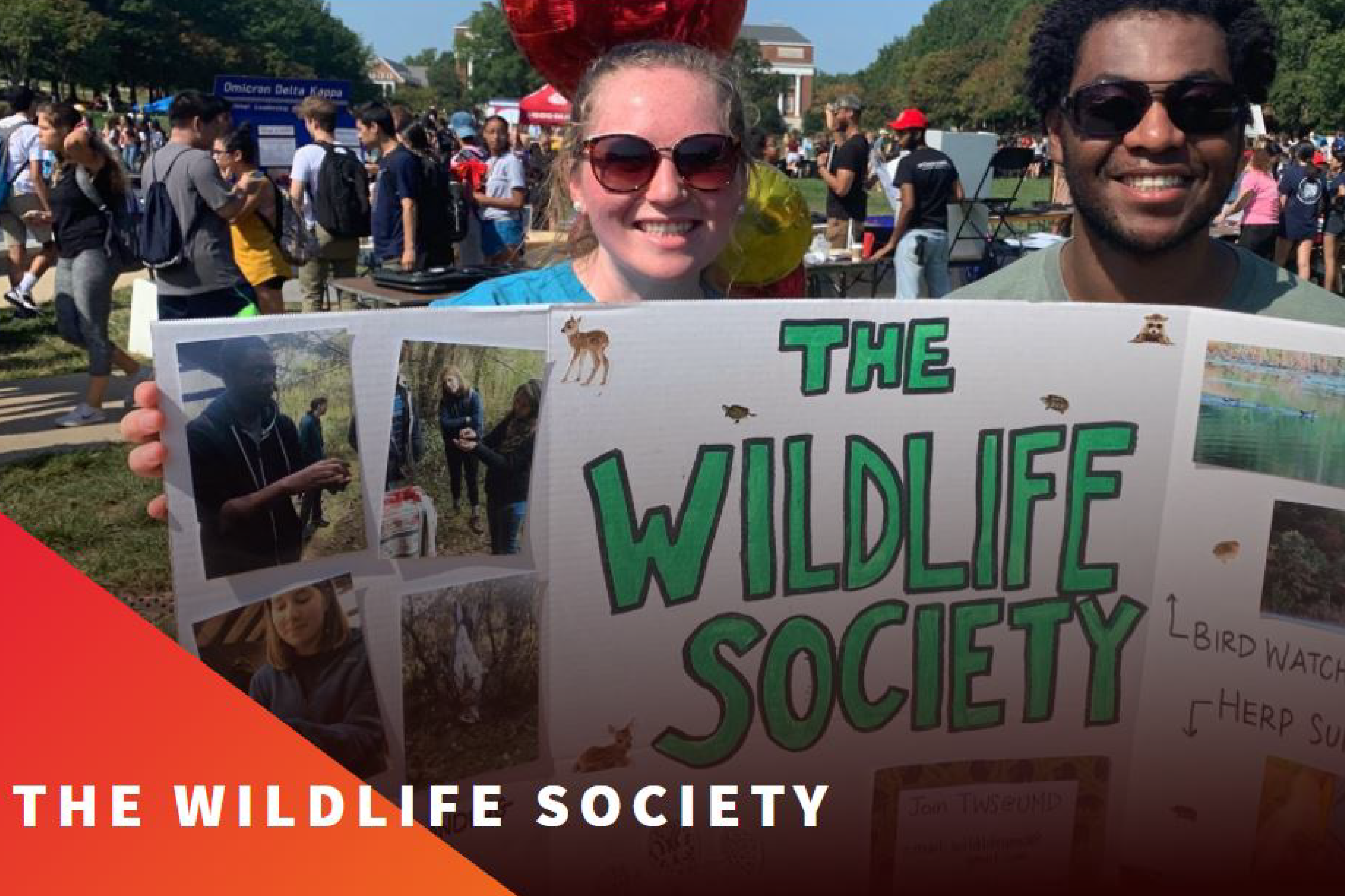 The Wildlife Society