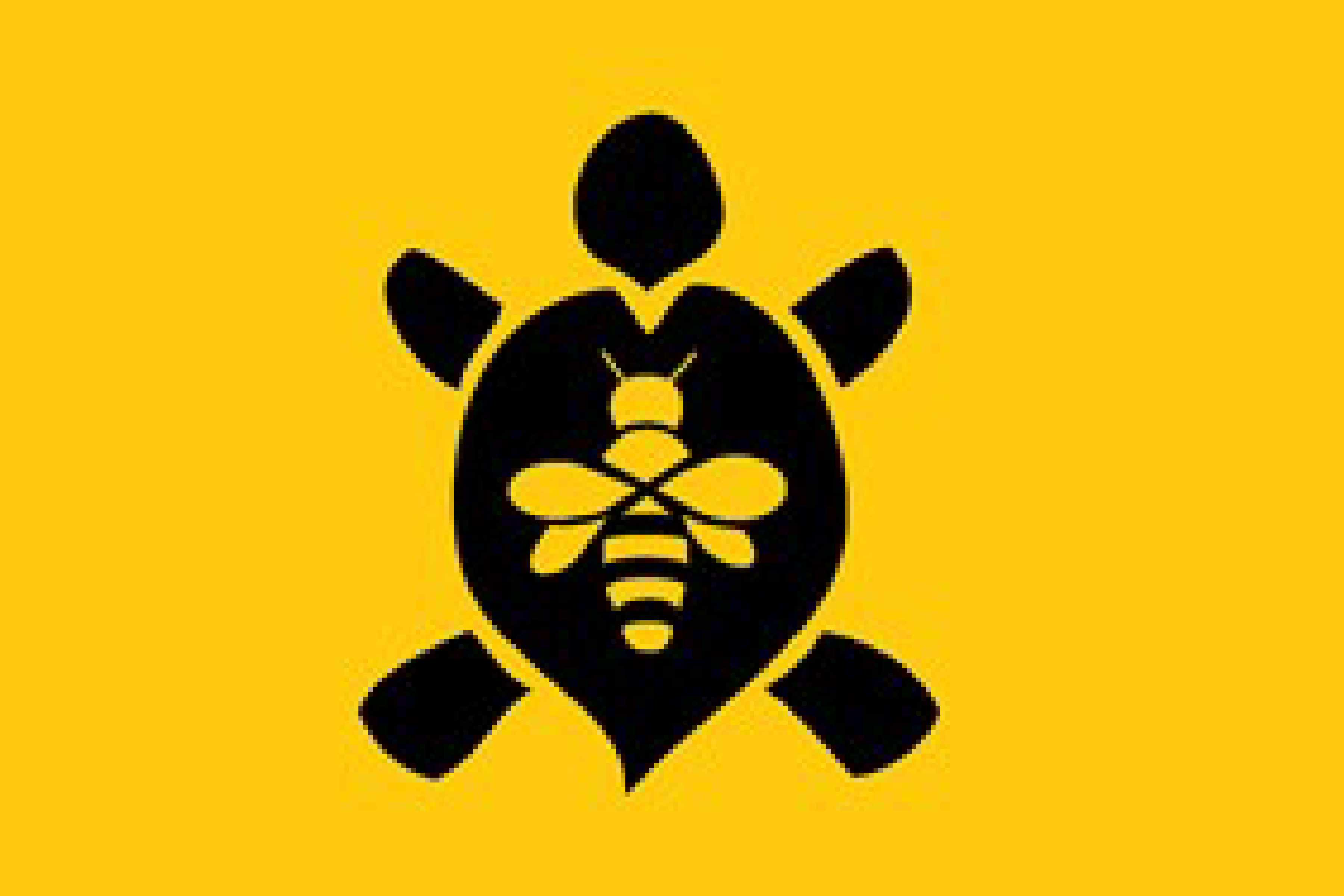 UMD Beekeeping Club