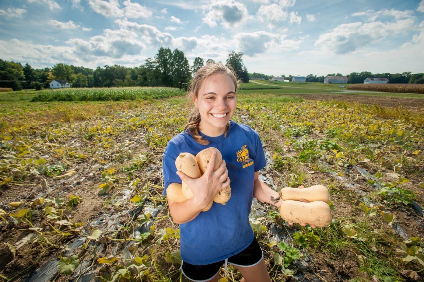 Undergraduate student harvesting butternut squash at Terp Farm