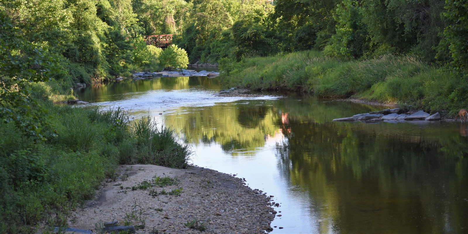 Image of Campus Creek