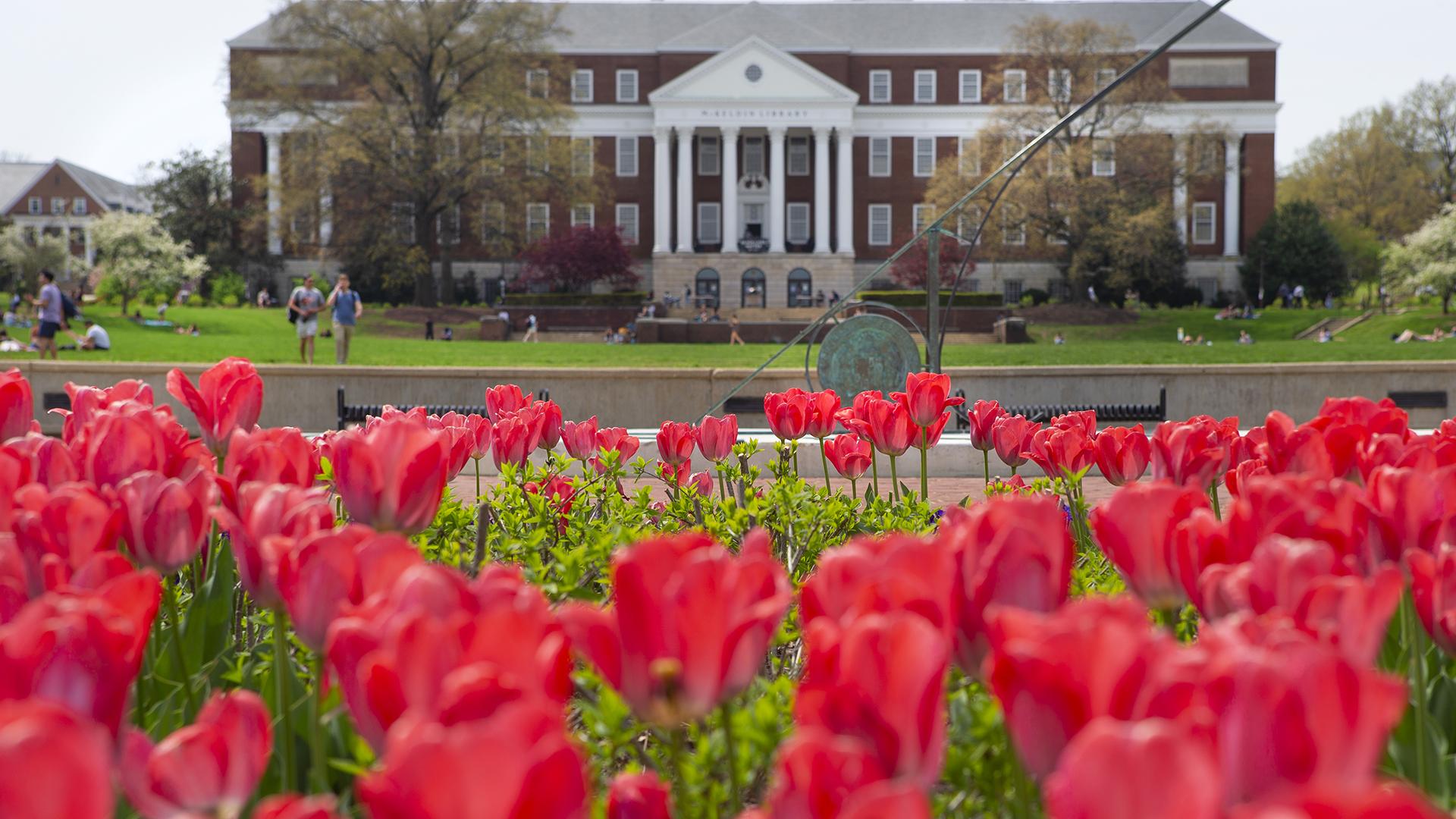 Students outdoors on McKeldin Mall (2022)