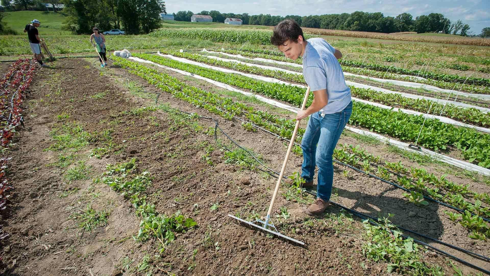 Student at Terp Farm, photo credits: Edwin Remsberg and S. Cordle.