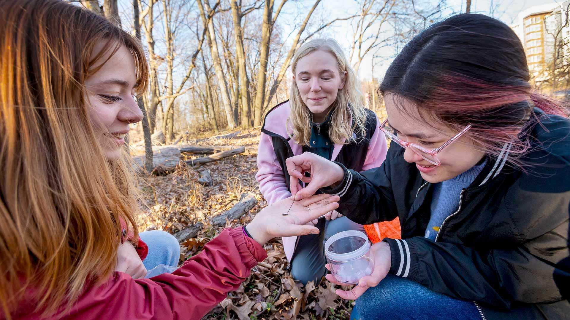 Bug Club (2023)