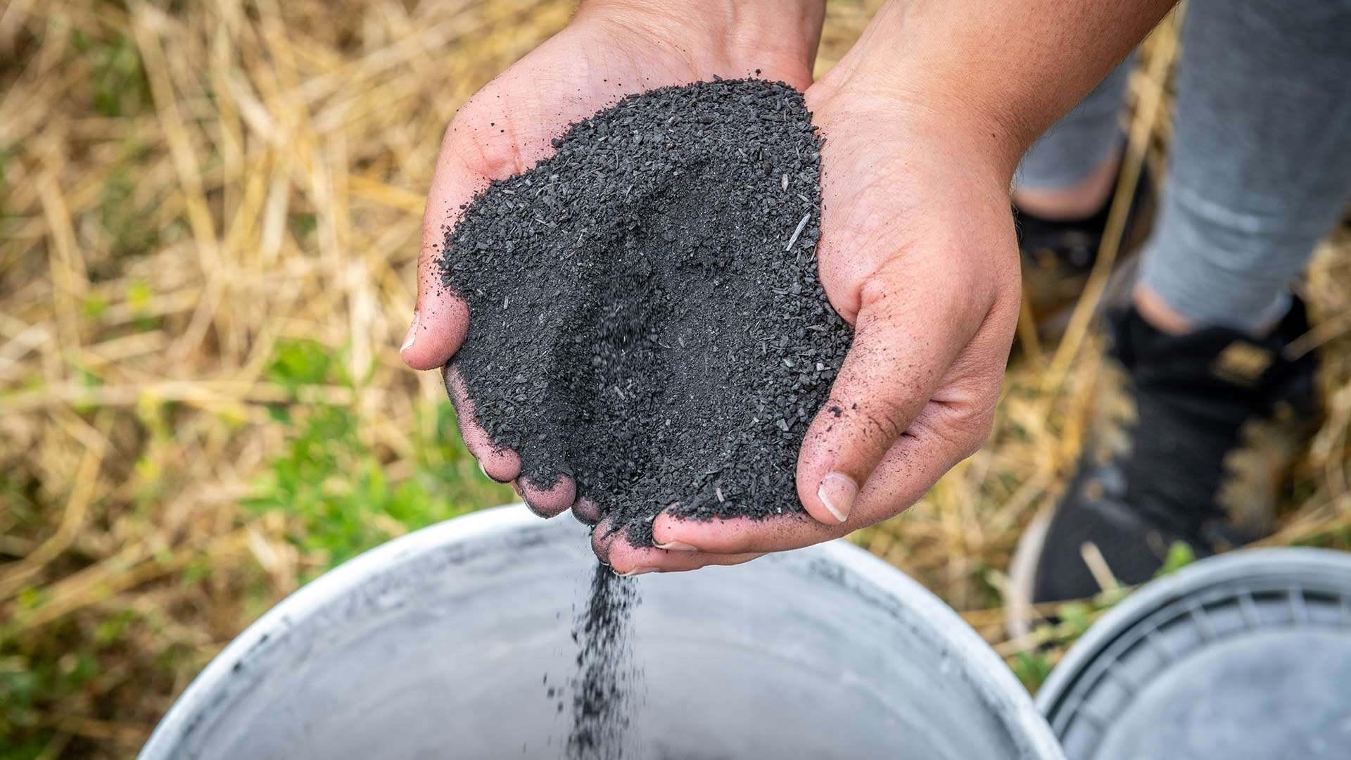 Poultry Waste Biochar (Photo by Edwin Remsberg)