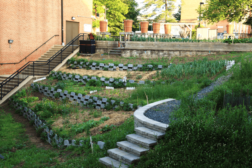 Community Learning Garden