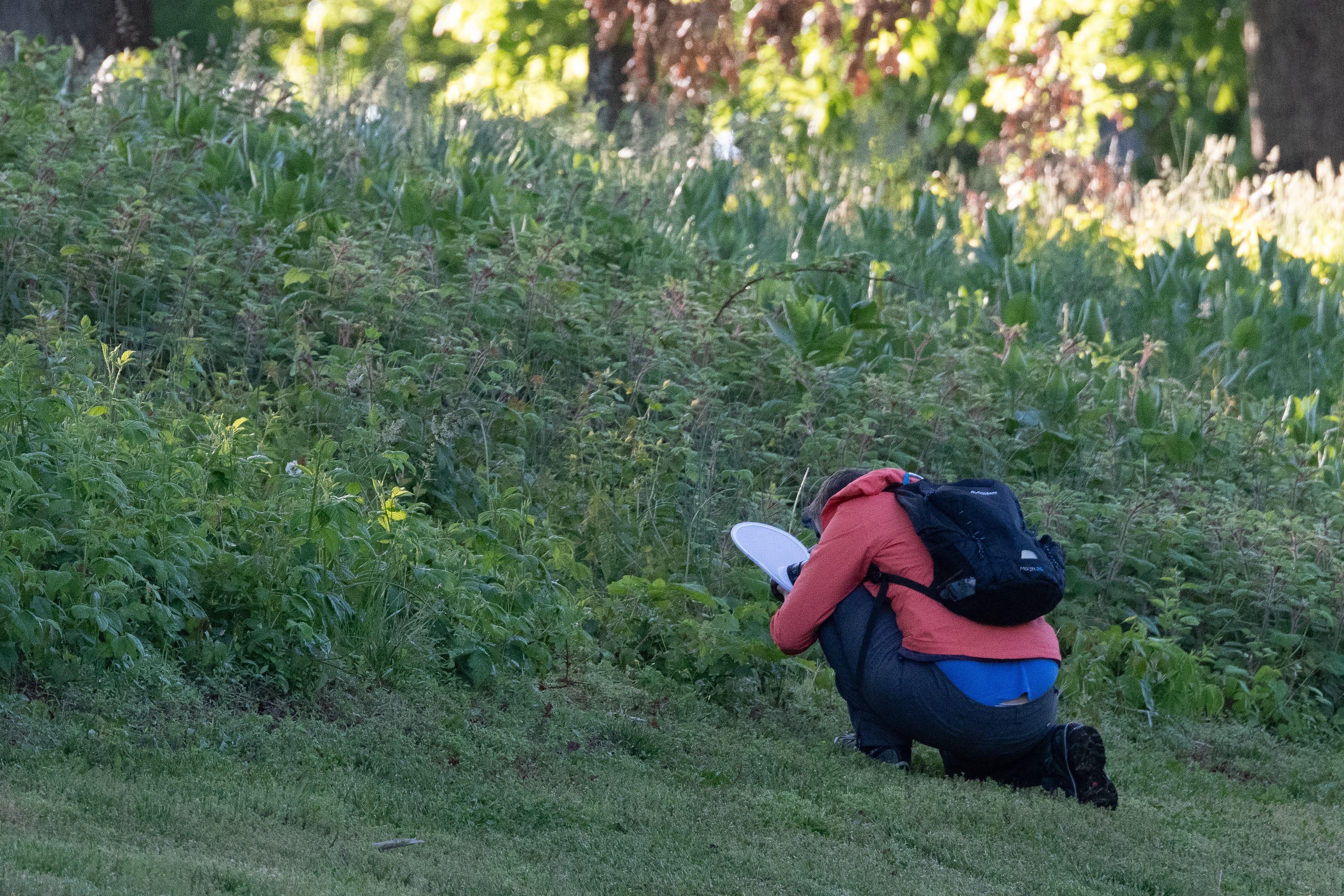 Person taking photo 