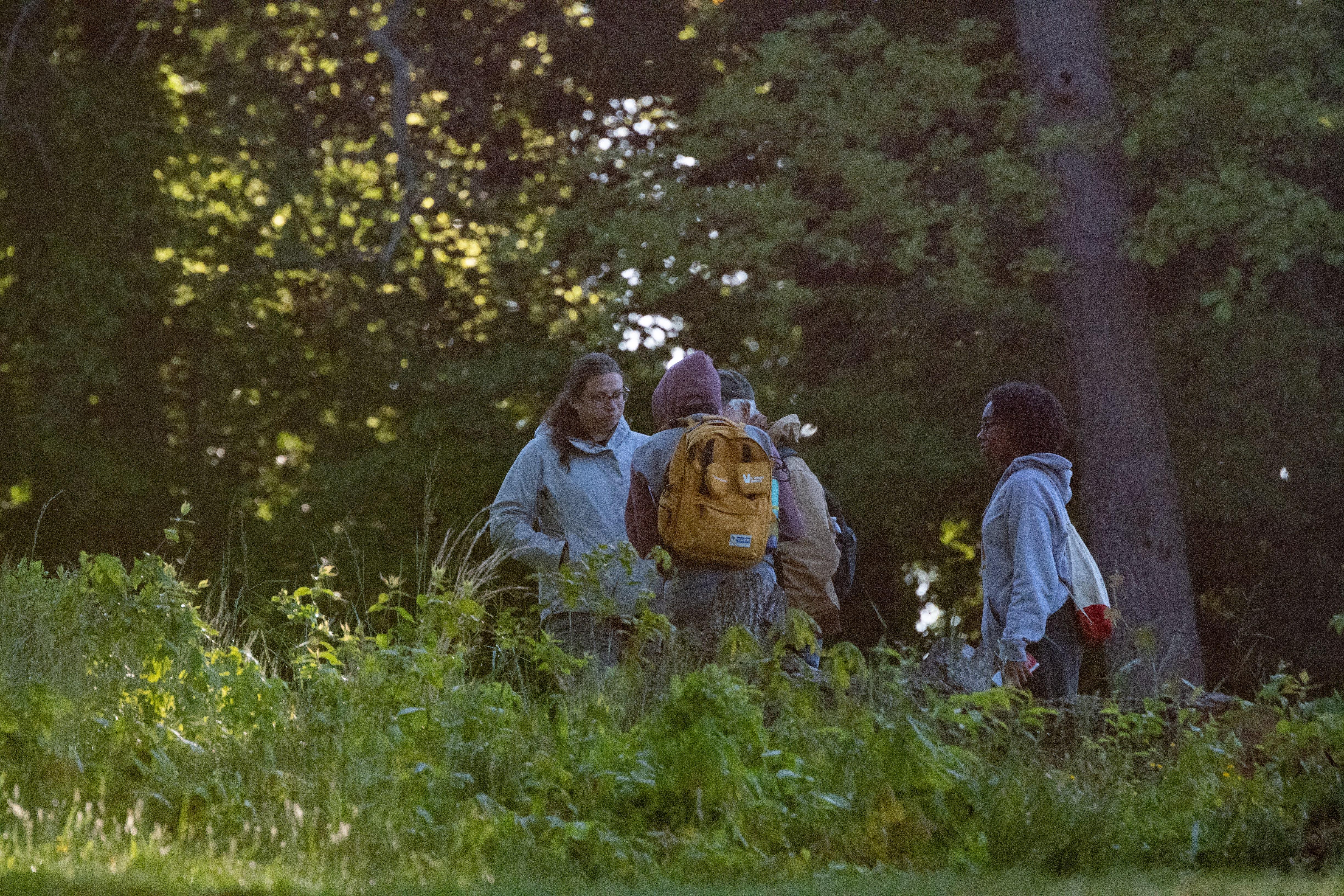 People searching for creatures 