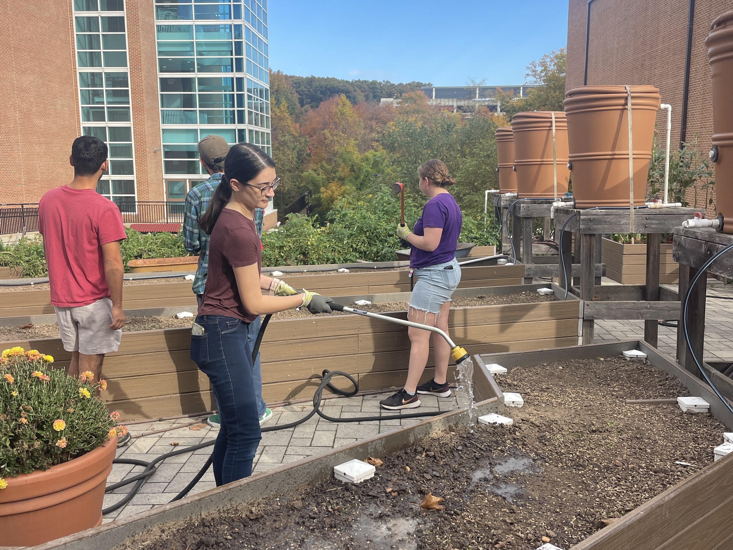 Students volunteer at the upgraded Community Learning Garden