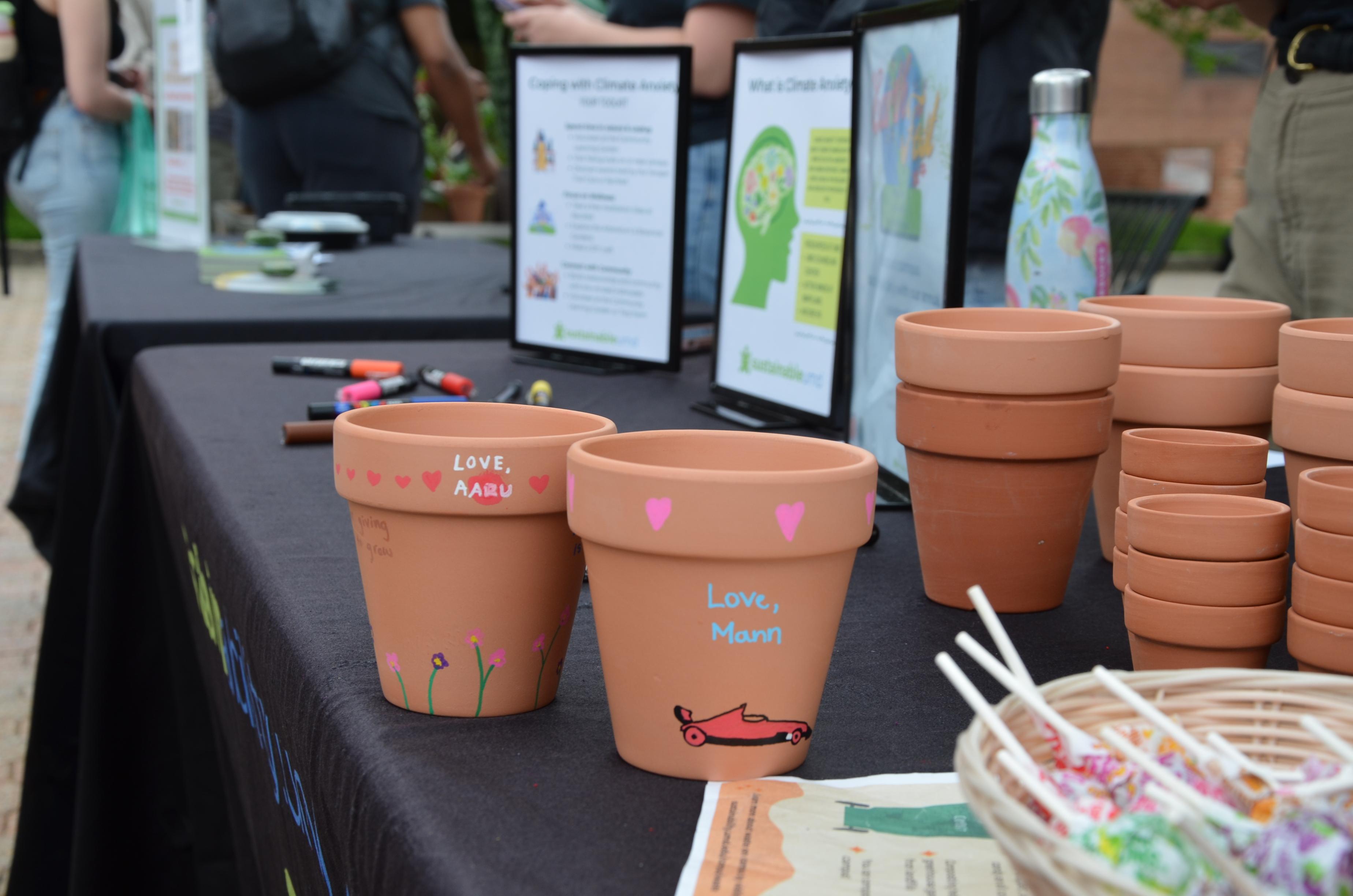 Decorated pot