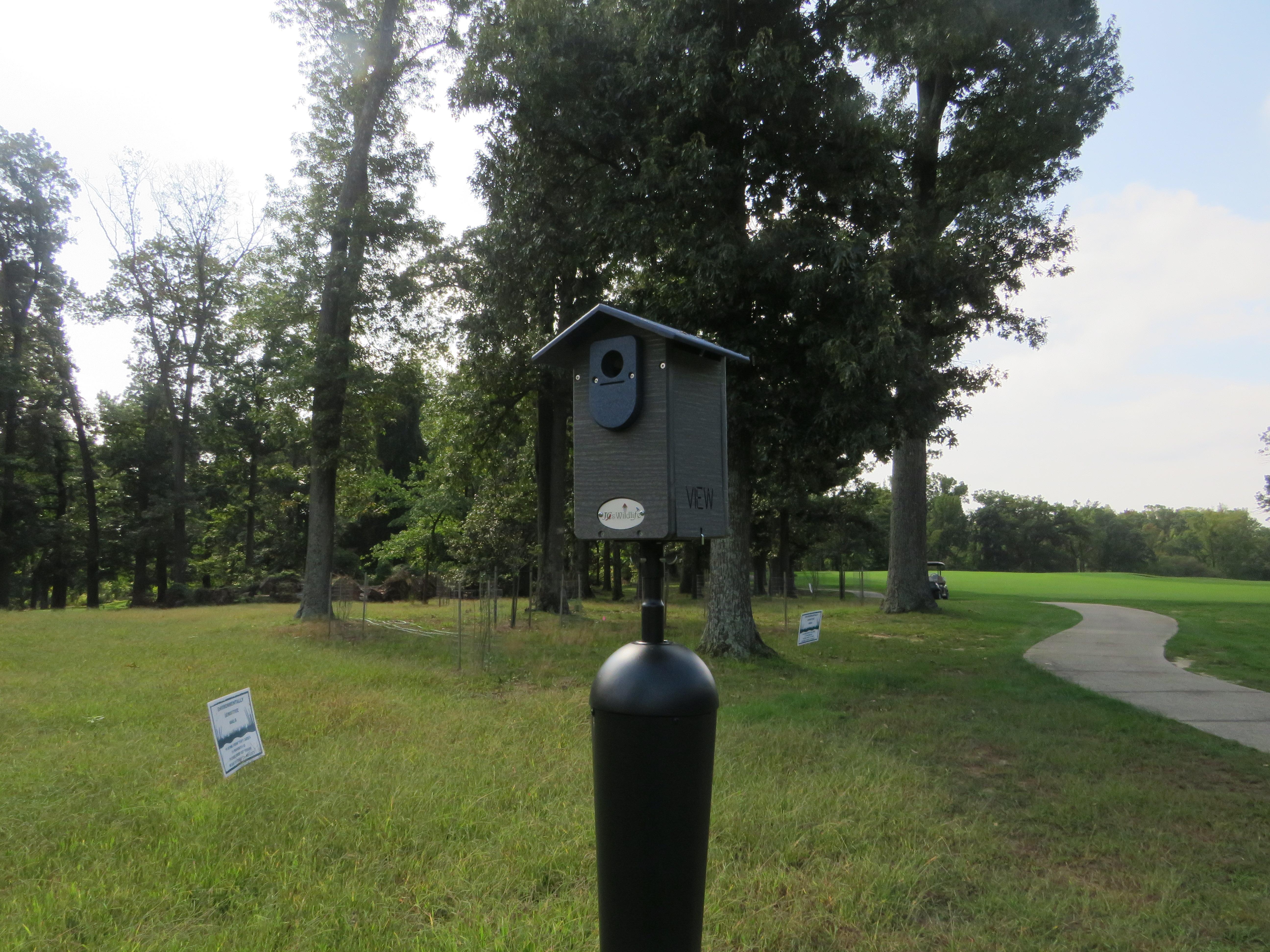 Bird house on golf course