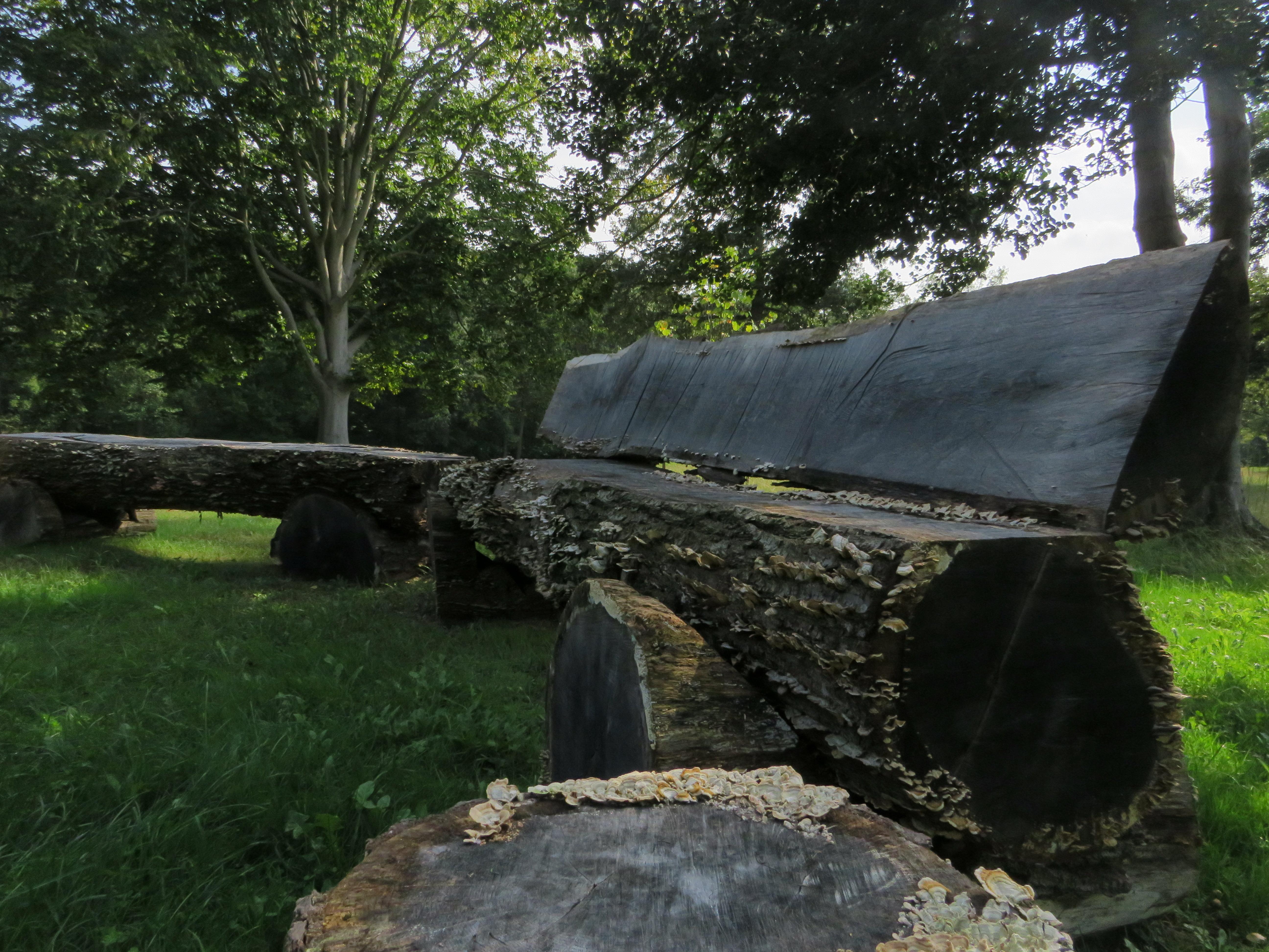 Bench made from logs with greenery backdrop