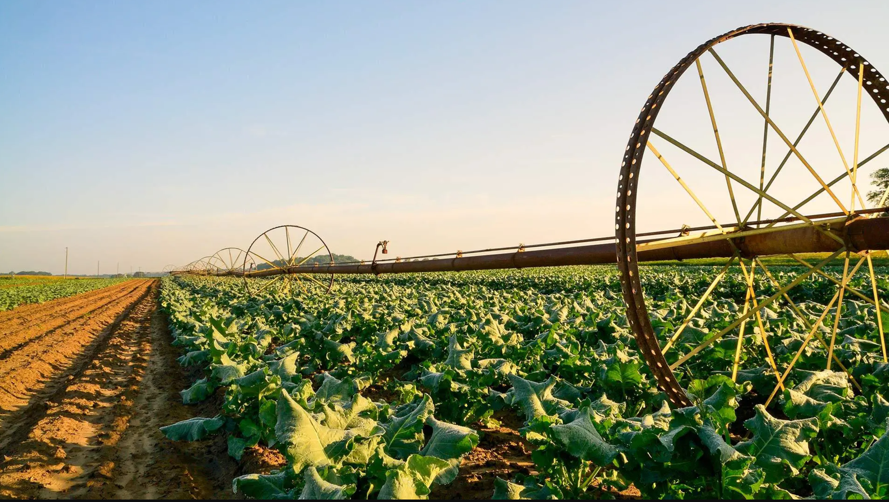 irrigation system in field