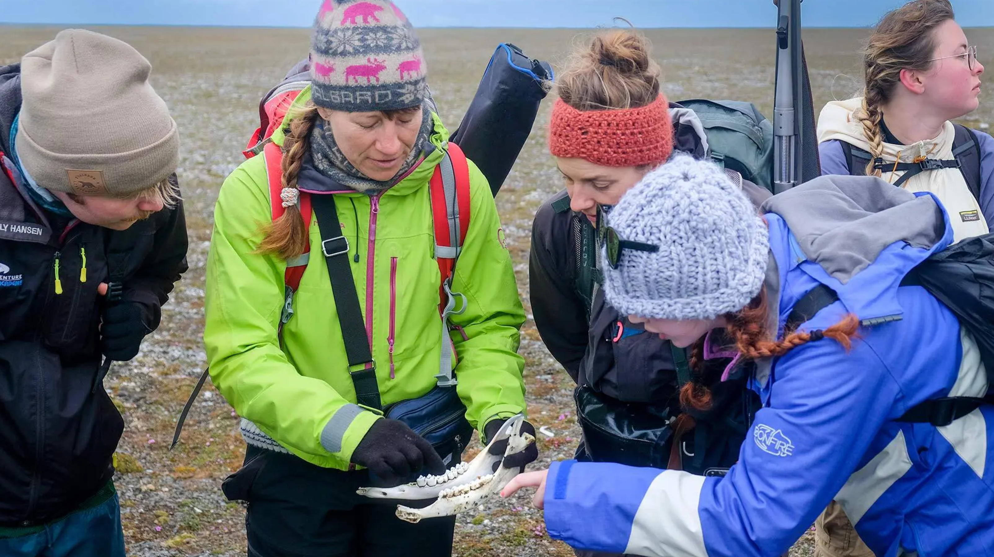 students examine reindeer jaw