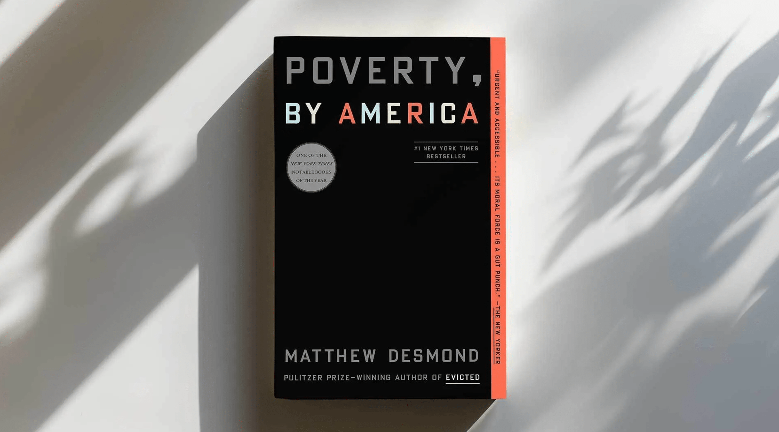 Poverty, by America book