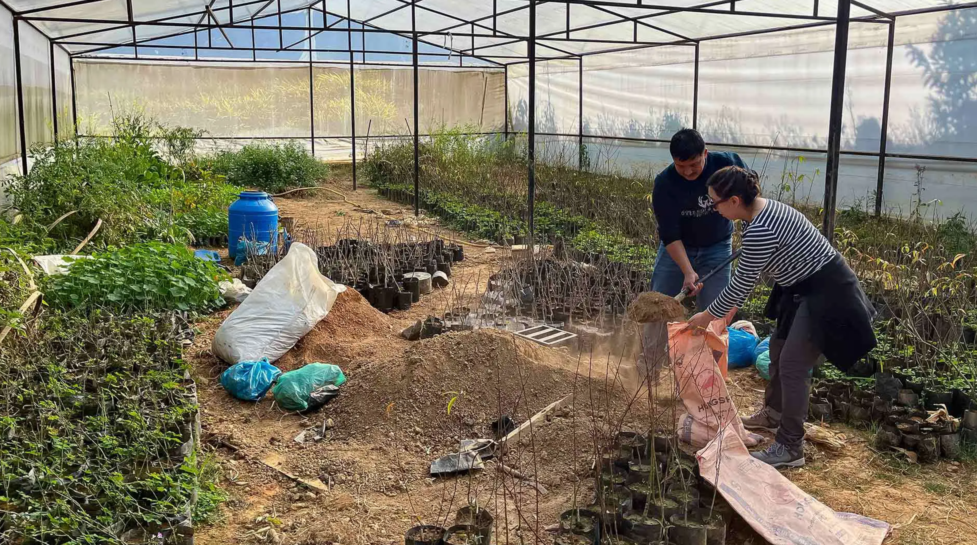 two people work in greenhouse