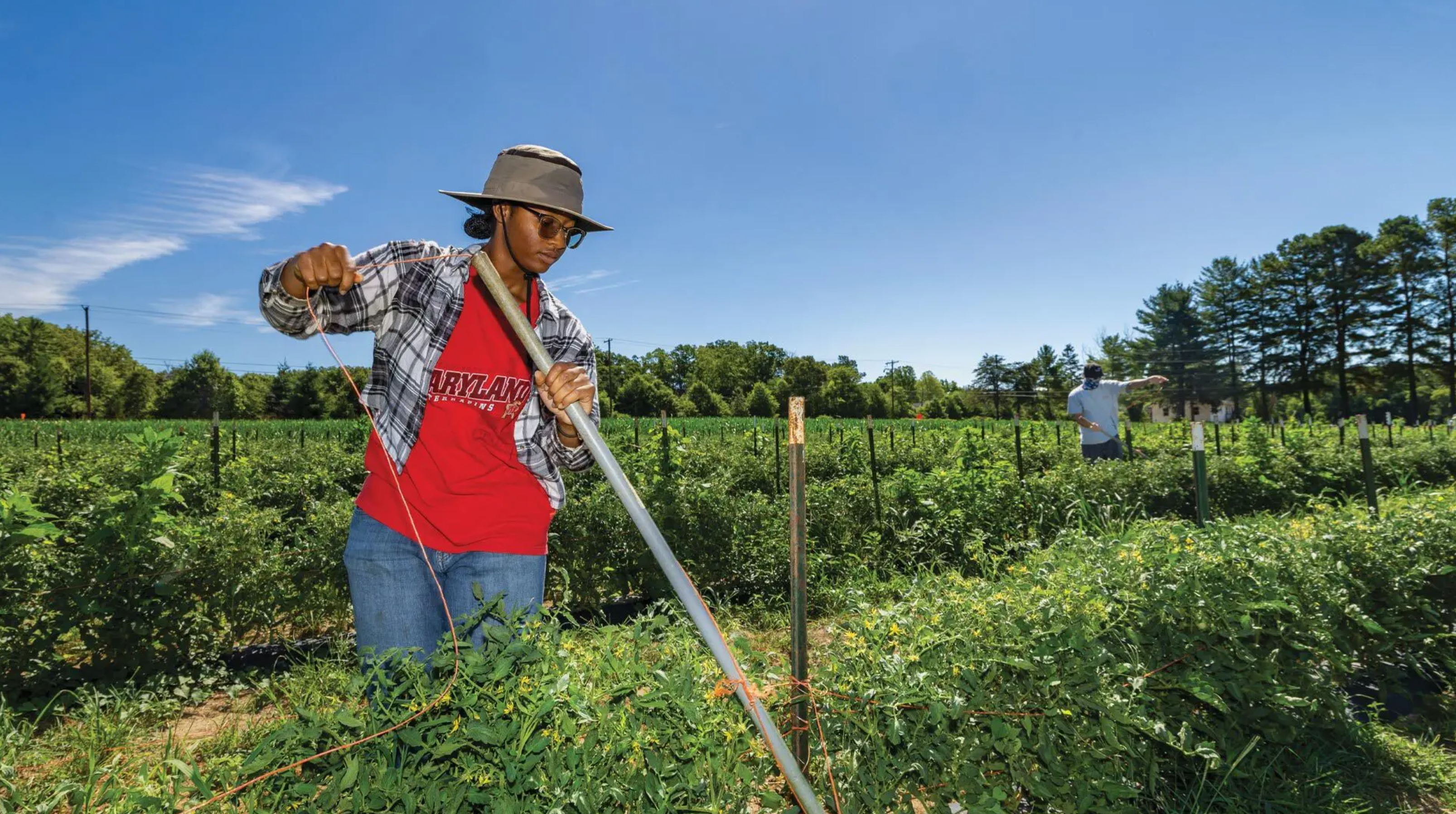 student works on farm