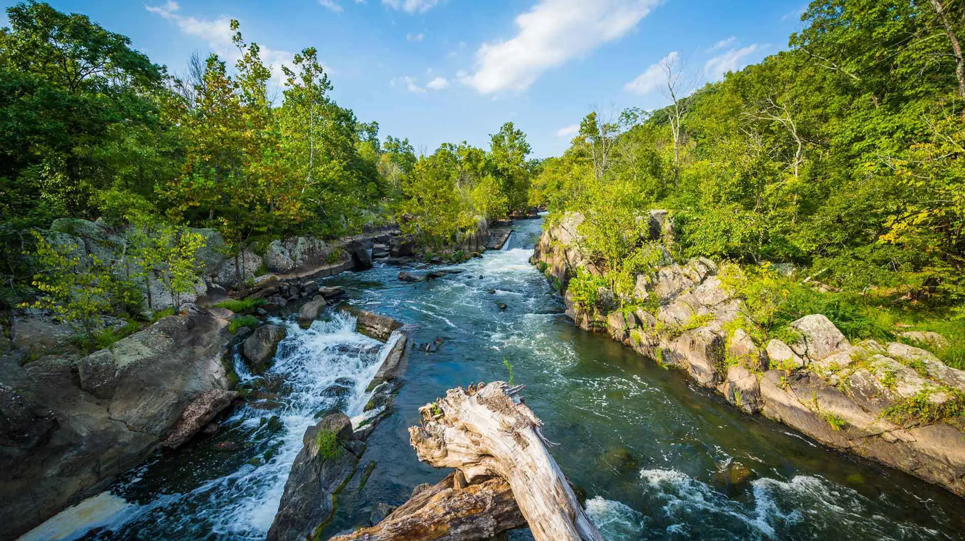 Potomac river