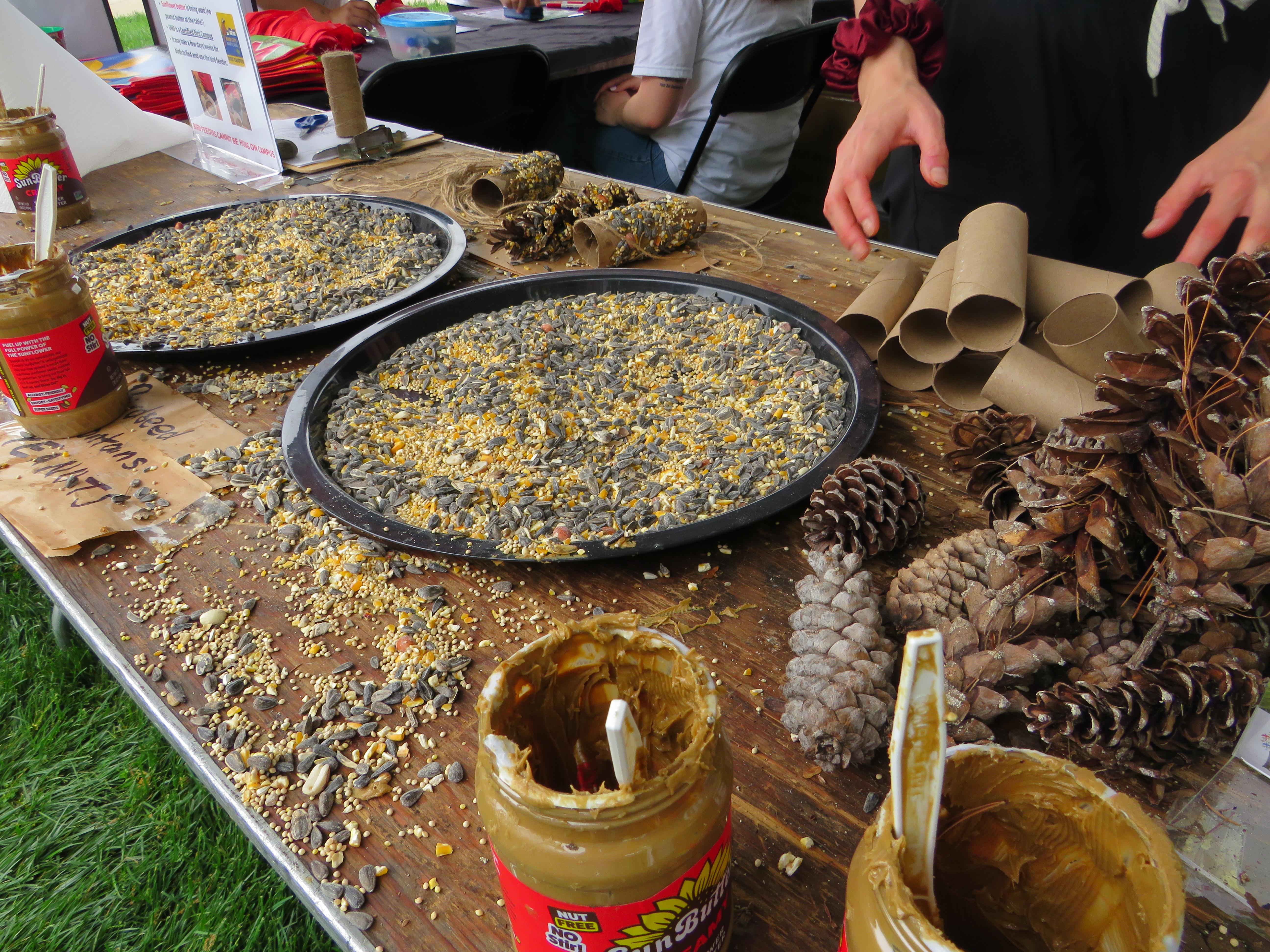 Maryland Day