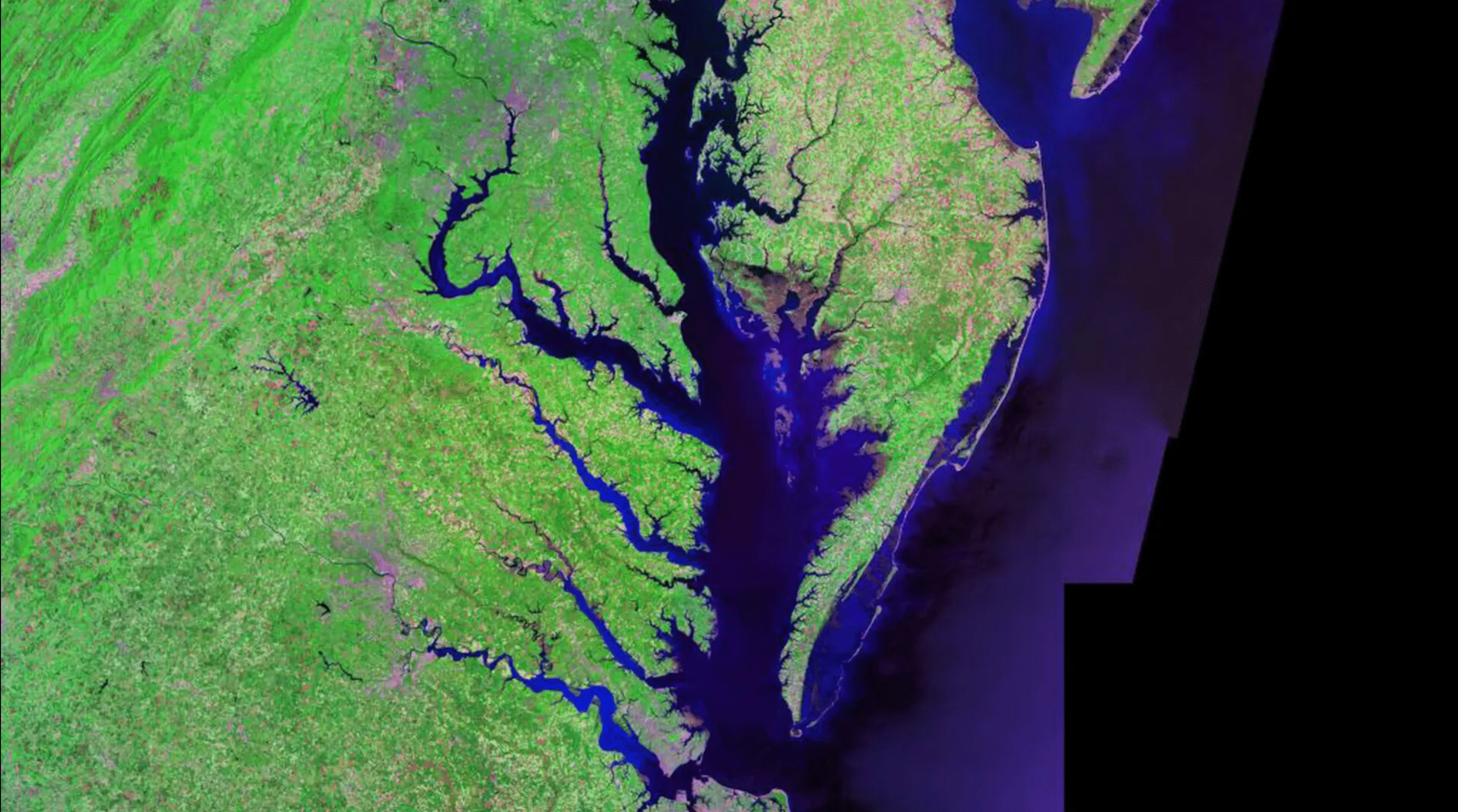 A new UMD-led study used long-term satellite observations to map out heat waves over 20 years, showing significant increases in marine heat waves in the Chesapeake Bay.
