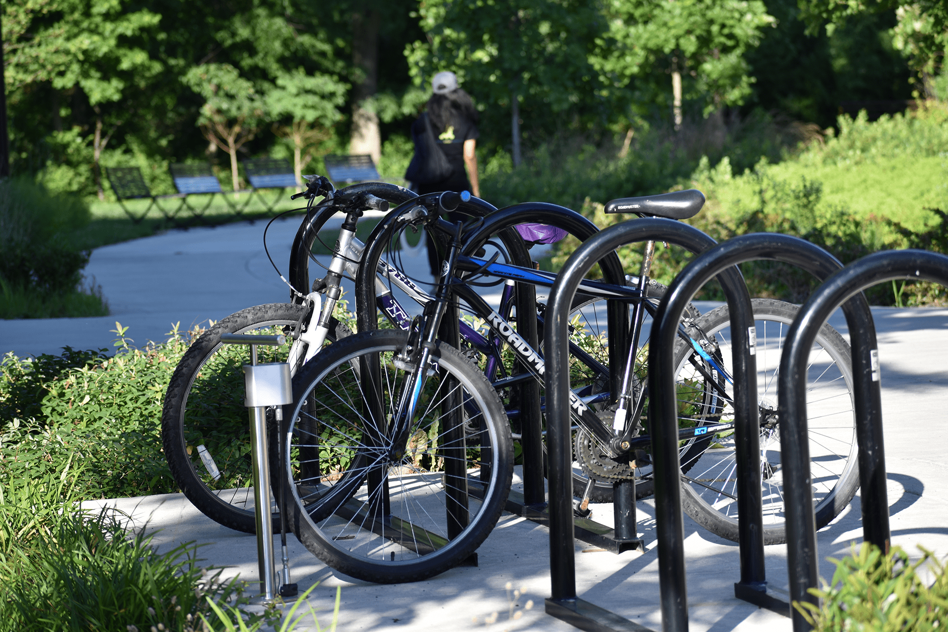 Bike Rack