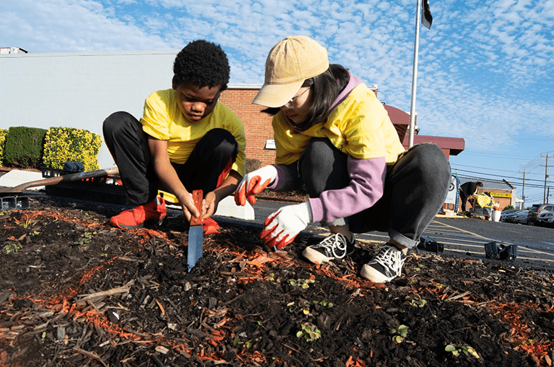 Students digging in dirt