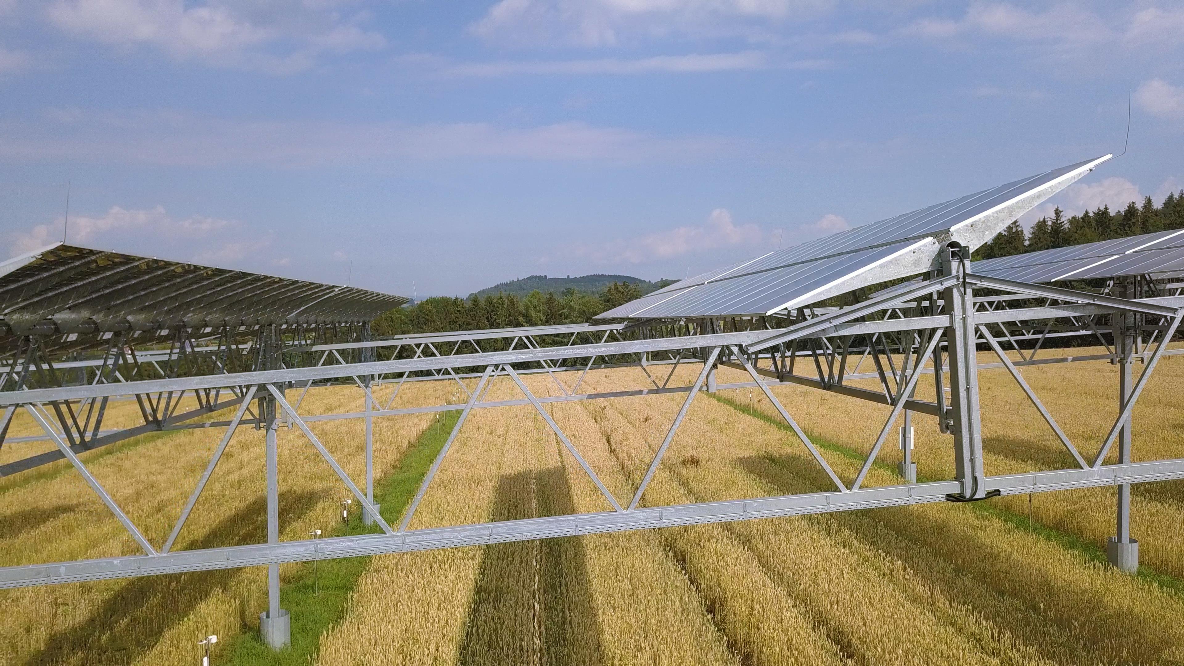 Visualization of agrivoltaics, solar panels rising above fields.