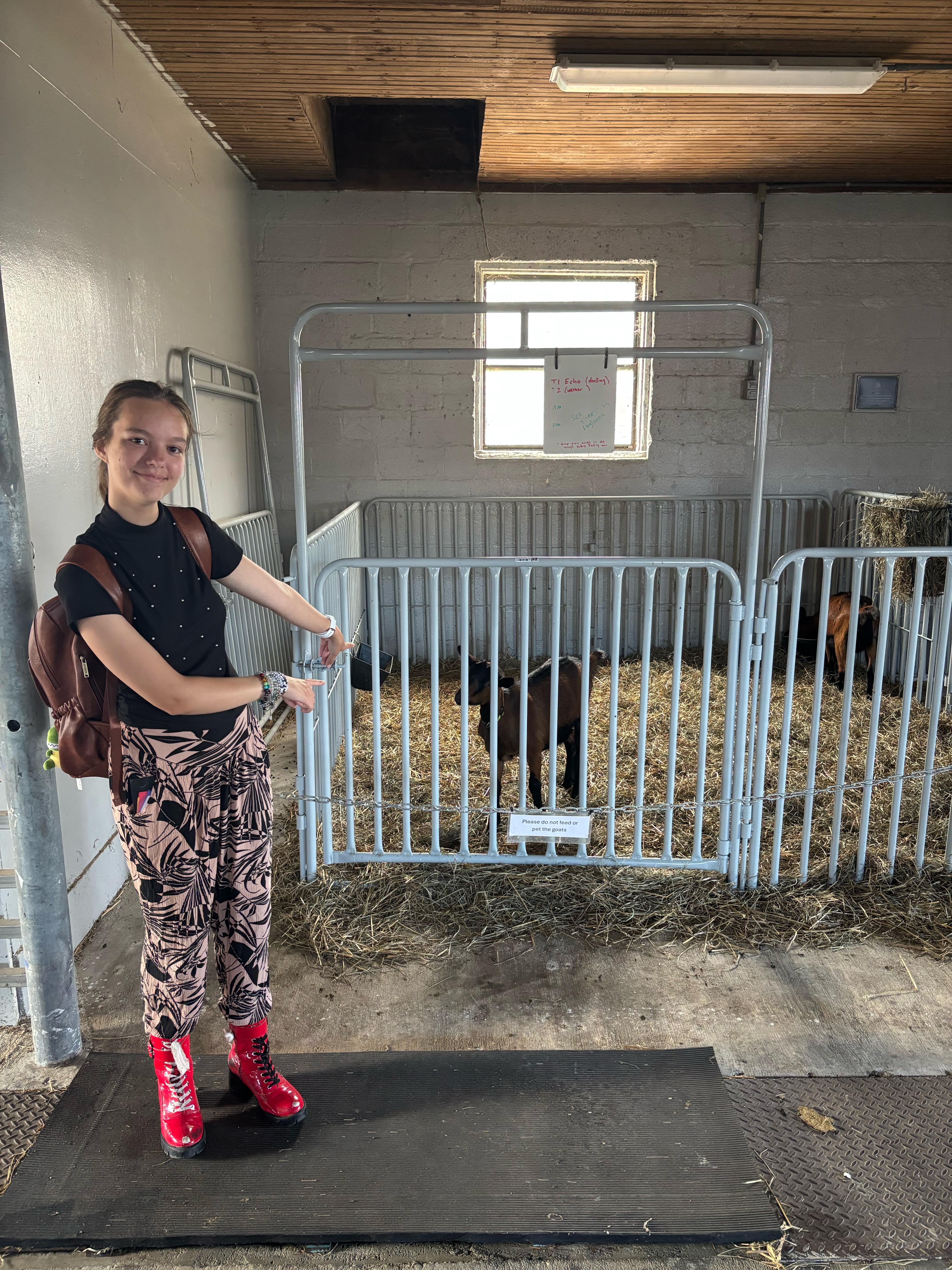 A student visits animals at the UMD campus farm.