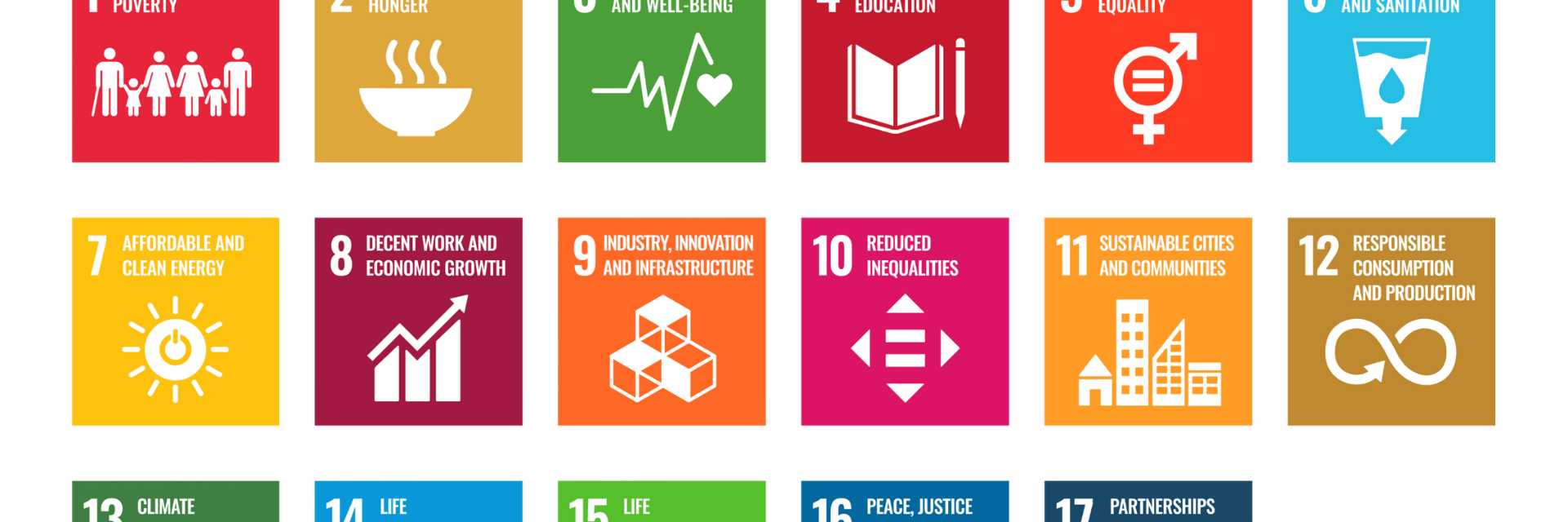 Sustainable Development Goals Logo