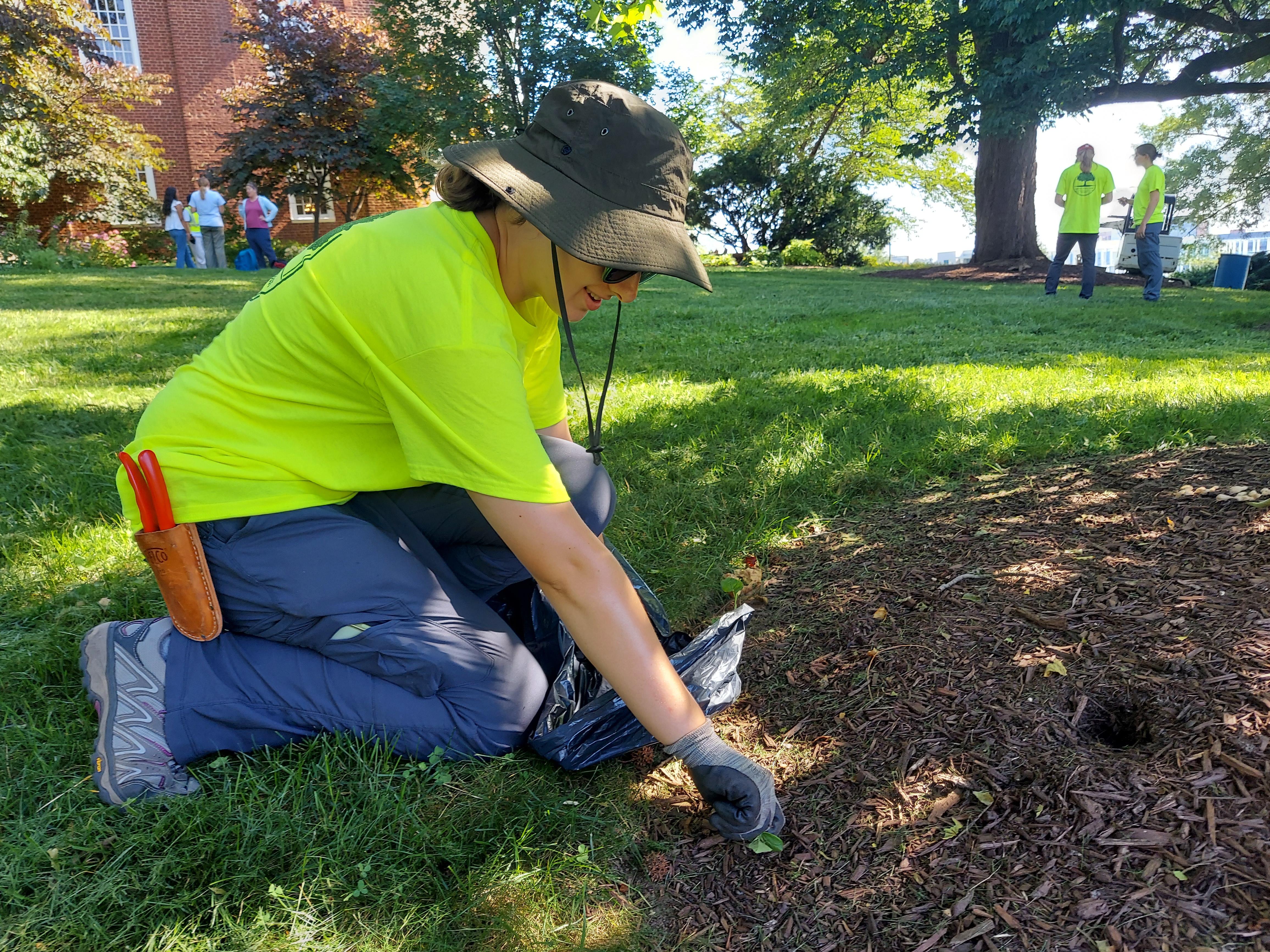 Arboretum Summer Intern uses a trowel at the foot of a tree