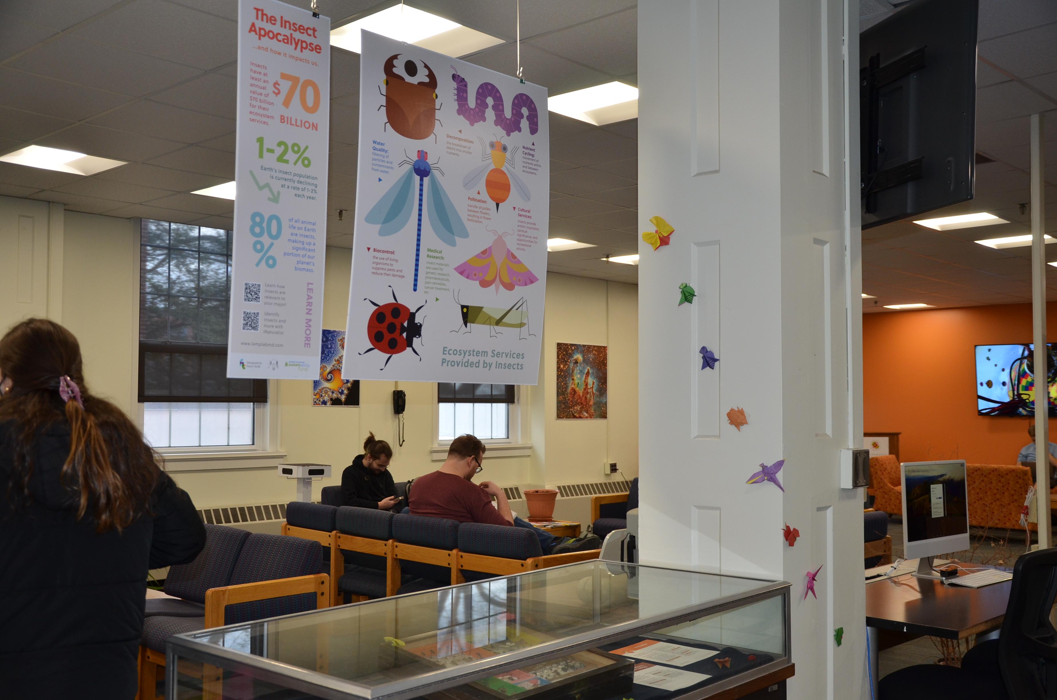 A display shows the importance of insects on UMD's campus