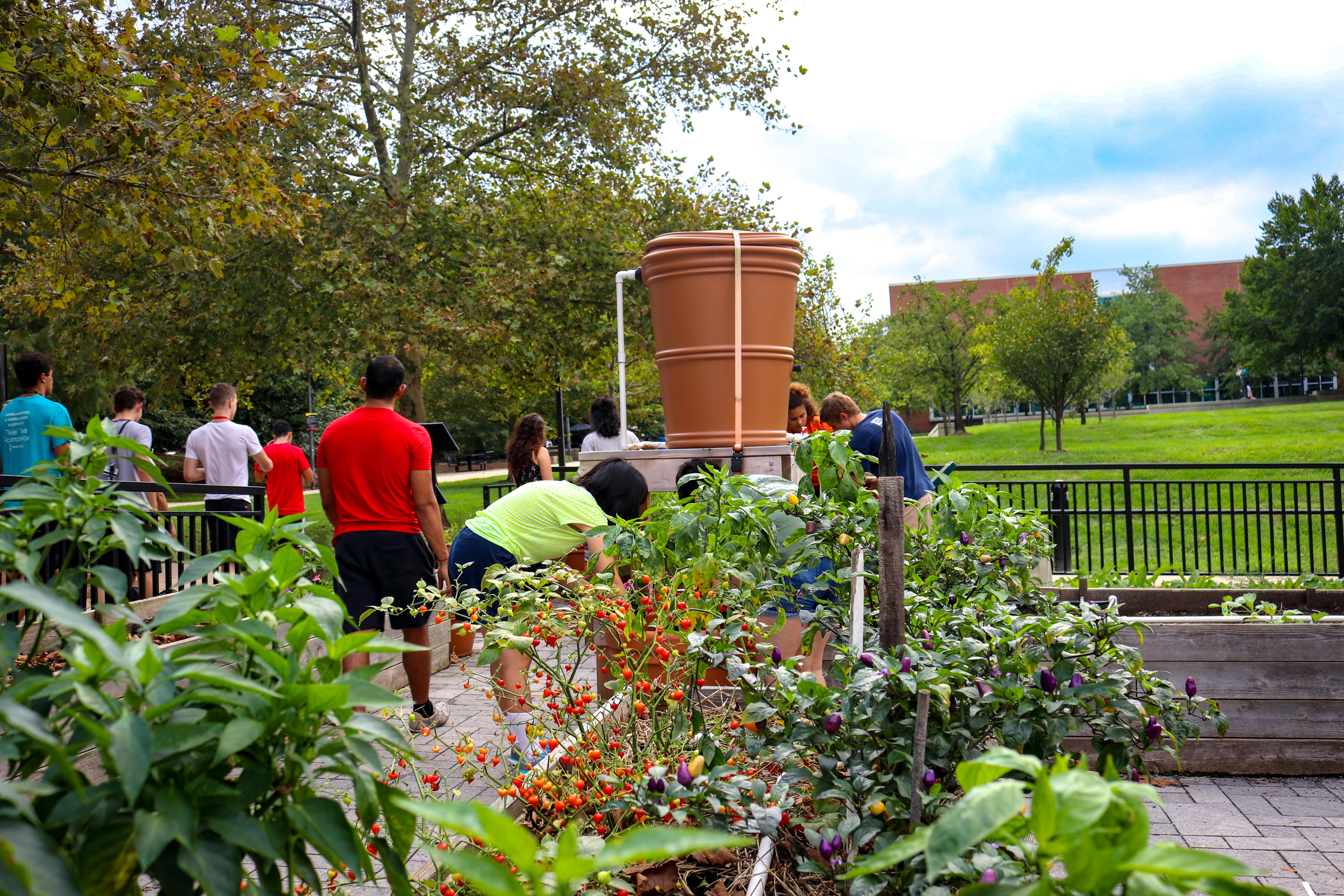 Community Learning Garden