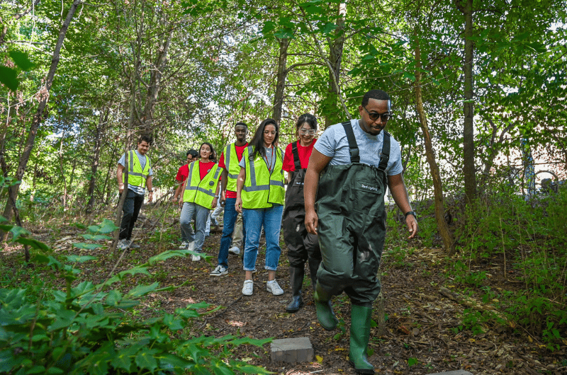 Faculty and students in yellow vests walk in a line through a row of trees