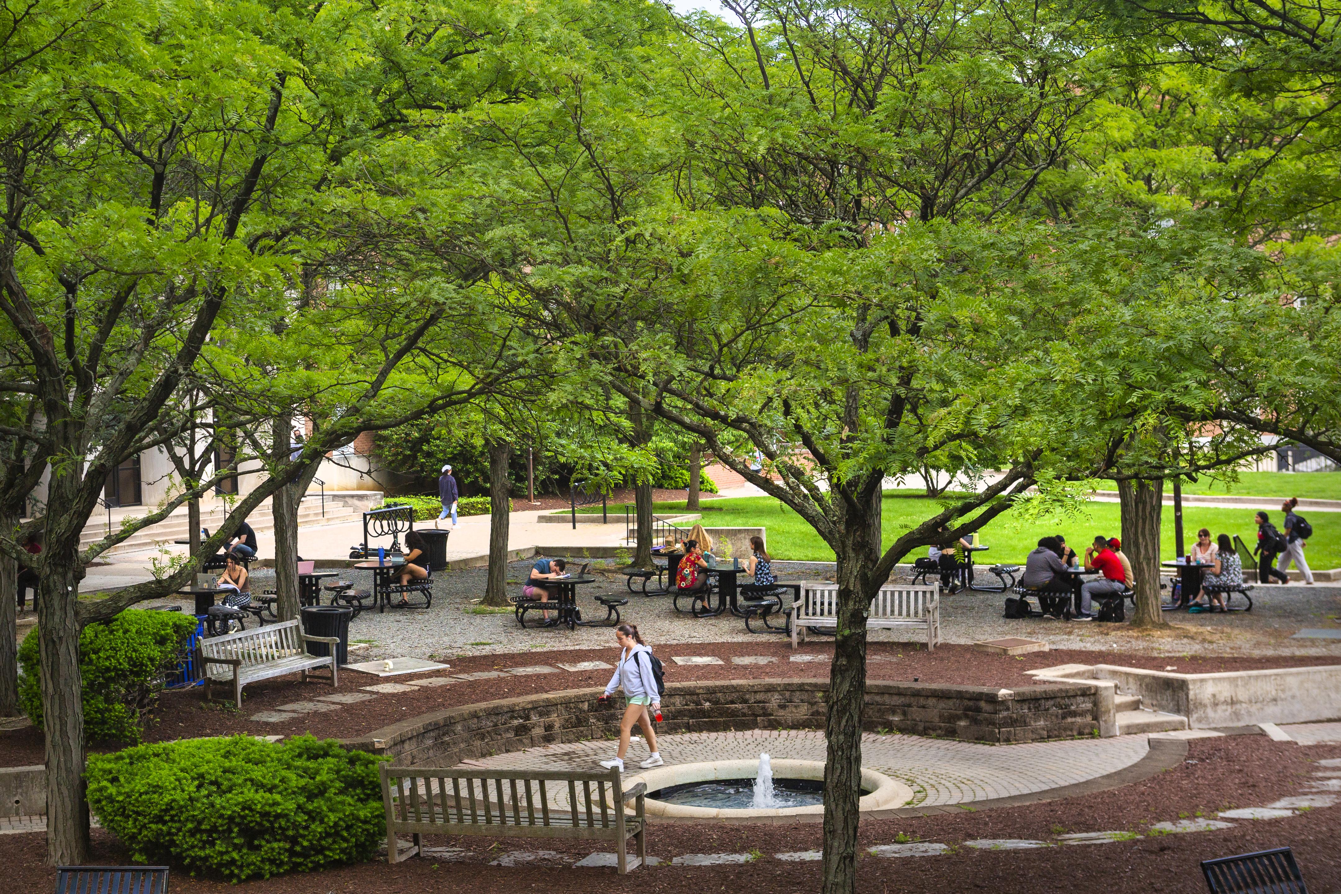 Students work outside in Hornbake Plaza, shaded by a canopy of trees.