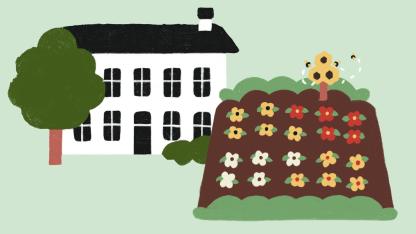 Illustration of backyard gardens (Illustrations by Charlene Prosser Castillo)