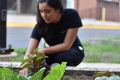 Girl Planting