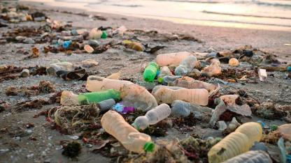 Plastic bottles and debris scattered along a polluted beach shoreline.
