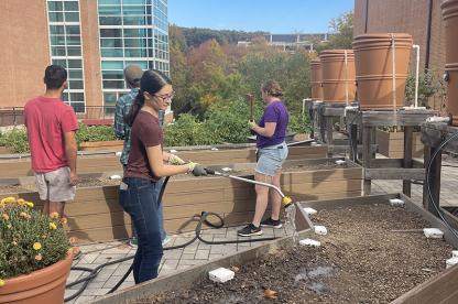 Students working in the community garden