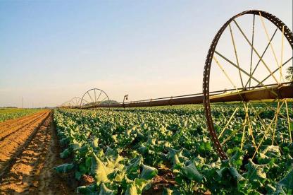Irrigation system watering crops in a farm field during sunset.