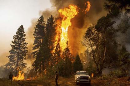 Large wildfire spreading through trees with flames and thick smoke beside a road with a vehicle nearby.