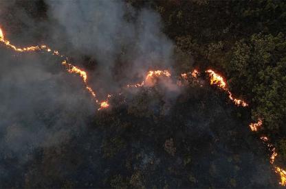 Wildfire spreading along a ridge of vegetation with flames forming a long fire line and smoke drifting upward.