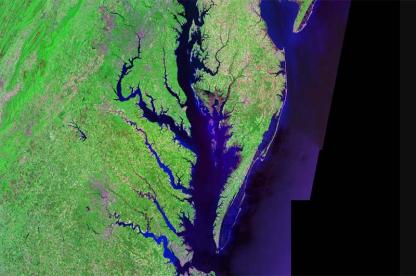 Satellite image of the Chesapeake Bay watershed with waterways branching through Maryland and Virginia.